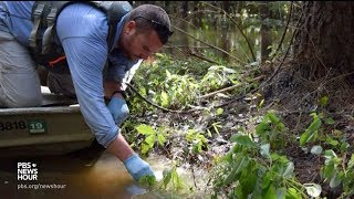 Contaminated Florence storm waters pose 'dire' threat, environmental group warns