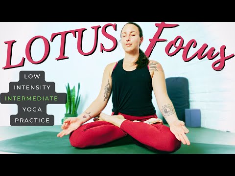 Intermediate Level Yoga Practice | Lotus Focus | Low Intensity Yoga Class (filmed June, 2021)