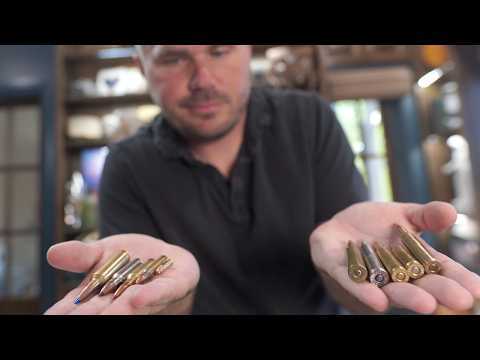 10 Hottest Rifle Cartridges Right Now: What Hunters Actually Use