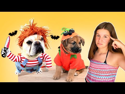 IDÉAS FACILES para hacer EN HALLOWEEN 2021 con tus MASCOTAS + Despedida de Oreo y Bombón