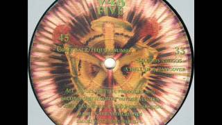 V48 - Come Back / Tequila Sunset -extended 12" version (Passiflora, 2001)