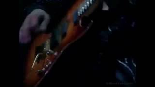 Un lobo por tu amor - video y audio original en vivo