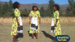 አይናዲስ ጫኔ - አብሮ አዳጌ