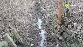 stürmige Runde in LE Ost 29 Januar 2022