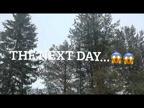 Spring in Lapland, Finland.