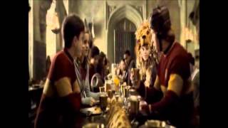 Harry Potter and Liquid Luck - Placebo Effect