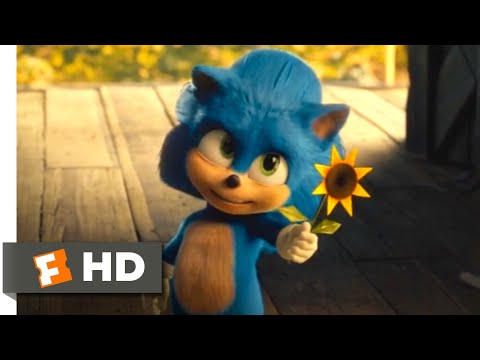 Sonic the Hedgehog - Young Sonic | Fandango Family