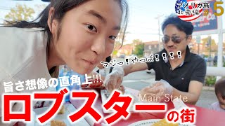 【アメリカ北東旅#5】アメリカ最北東端の街で海の幸と大自然|メイン州|New Englandロードトリップ