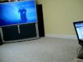 Oliver Watching Stuart Little