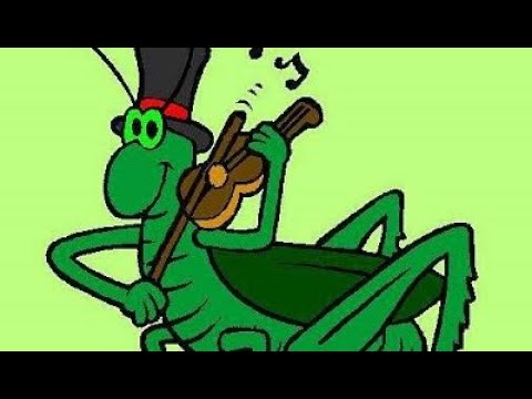 Rino, il grillo canterino