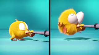 Chicky Makes Mischief | Where's Chicky? | Cartoon Collection in English for Kids | New episodes