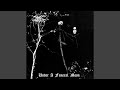 Summer of the Diabolical Holocaust (Studio)