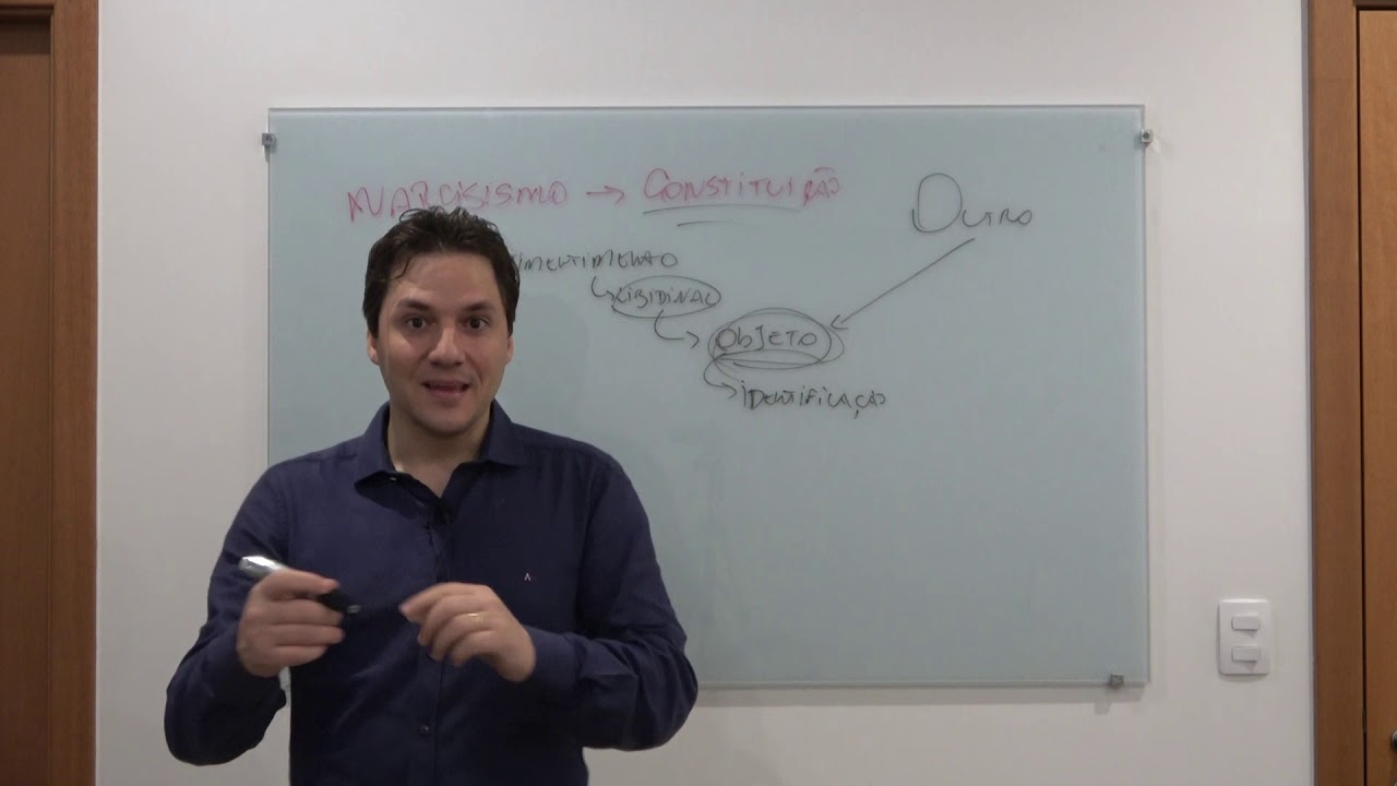 Sobre o Narcisismo - algumas considerações.