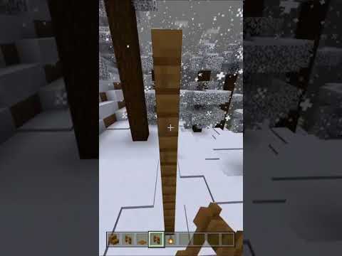 Bnana - Minecraft: Snow Picnic ❄⛄ #shorts #minecraft #build