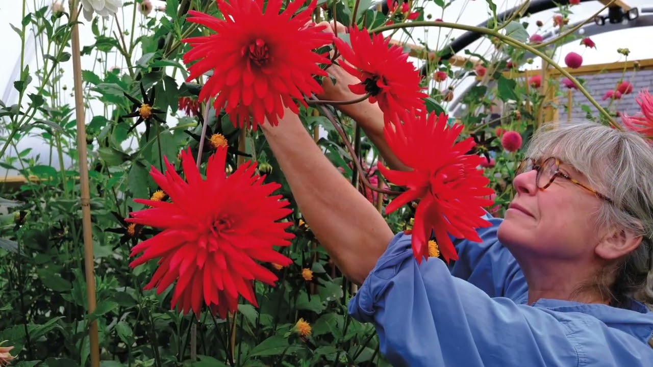 Angie Lewin | Wild Garden