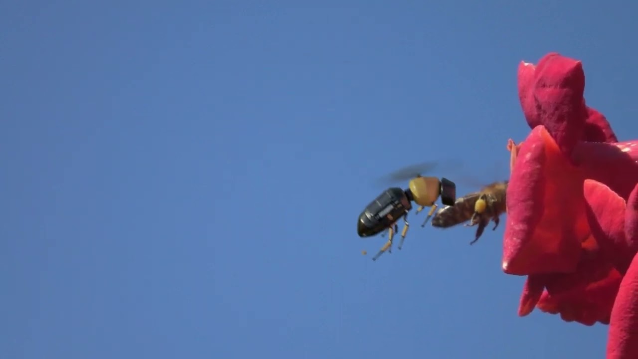 AlienNation Creative Agency: 3D Modelling and Animation