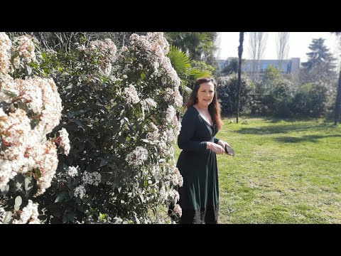 Vitrina e librit/ Misteri i Mjelmës – Fatos Kongoli-  Shkrimtari i njohur Fatos Kongoli