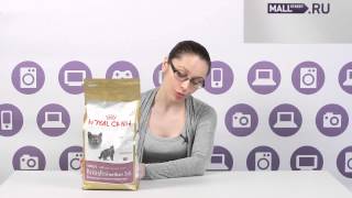 Royal Canin British Shorthair Adult 2 кг (2557020) - відео 1
