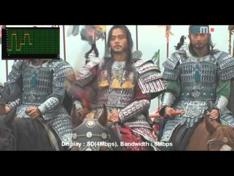 Adaptive Web Video Streaming based on Scalable Video Coding