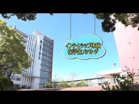 インターンシップ体験 在学生メッセージ