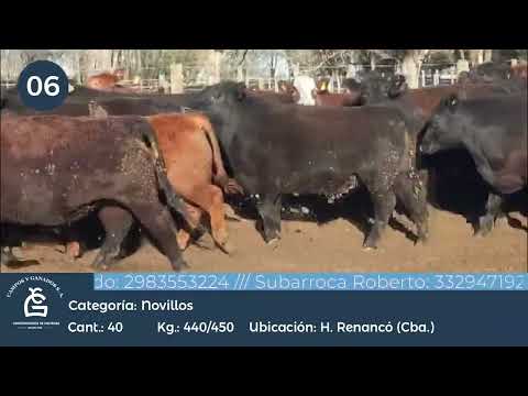 Lote NV UE NO HILTON - H. Renancó Córdoba
