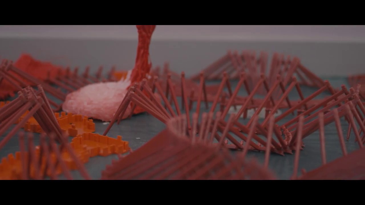 ROBYN WOOLSTON AND MGS PLASTICS