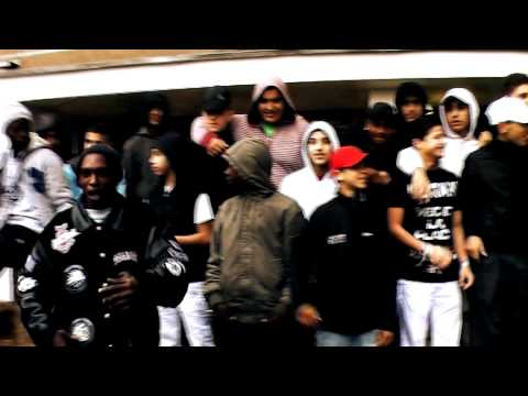 Bordel-MSA-Nova Video'z