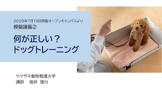 何が正しい？ドッグトレーニング