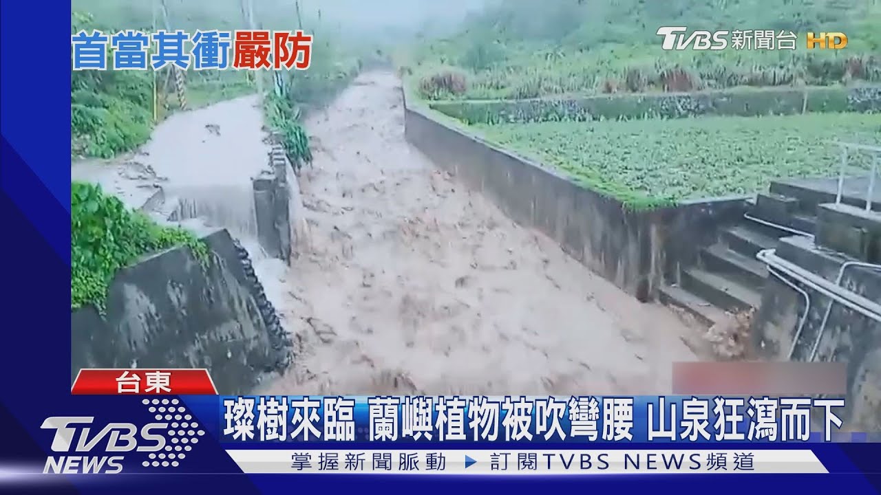 璨樹來臨！蘭嶼植物被吹彎腰　山泉狂瀉而下