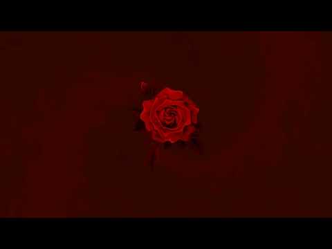 [FREE] Andry The Hitmaker X Giaime Type Beat "Rose"