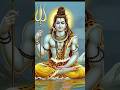 Om Namah Shivay Mahadev Shorts Viaril
