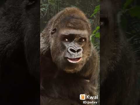 Hola bebé Cómo estás