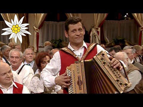 Im Lärchenwald | Franz Posch