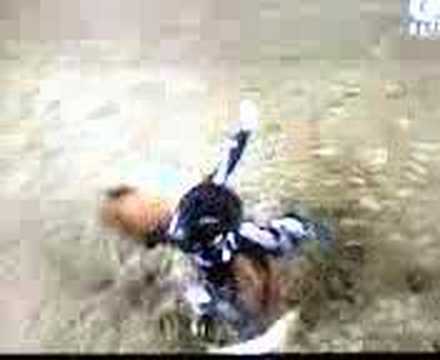 Justin McBride vs. Hot Stuff