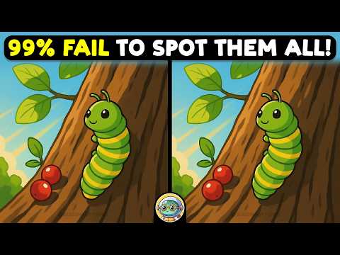 🐢🧩 Find 3 Differences | Mind Training Game 🧩🐢 | Quizonaut Turtle