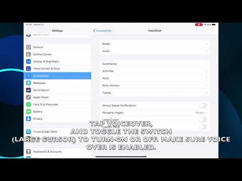 HOW TO DISABLE OR ENABLE VOICEOVER LARGE CURSOR IN IPADOS 13.6 (IPAD)