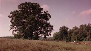 Thomas Newman - 31 Compass And Guns (Film Version)