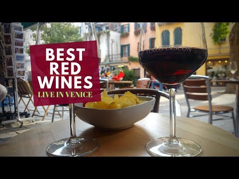 The Best Red Wines for Beginners (On the Road from Venice)