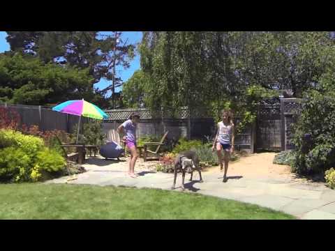 Ulla and Makaela Flippin' at the Beach