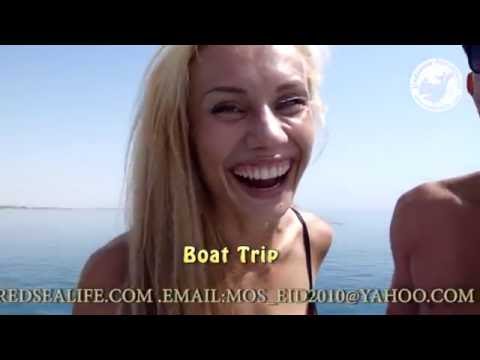 download lagu mp3 mp4 Undersea Adventures, download mp3 Undersea Adventures free download mp3, download mp3 Undersea Adventures