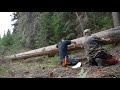 Building a Spruce Bark Canoe - E1 - Harvesting Spruce Bark Building a Spruce Bark Canoe - E1 - Harvesting Spruce Bark