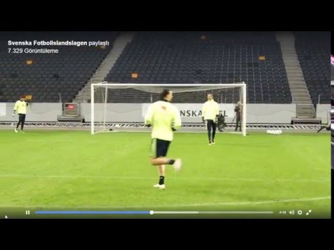 Zlatan Ibrahimovic goes on a mad one at Sweden training - Chip Goal and Volley Goal Amazing!