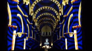 preview picture of video 'spectacle son et lumiere Vezelay 2014 avec video mapping dans la basilique'