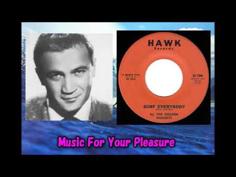 The Golden Nuggets - Surf Everybody Hawk Records Jimmie Maddin