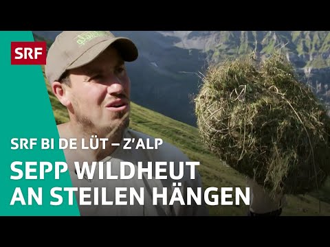 Sepp muss trotz Corona wildheuen | Z'Alp – SRF bi de Lüt | 2021 - 5/5 | SRF