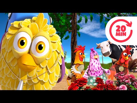 Where is The Baby Chick? and More Kids Songs & Nursery Rhymes