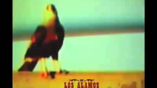 Los Alamos - Long Sleeve