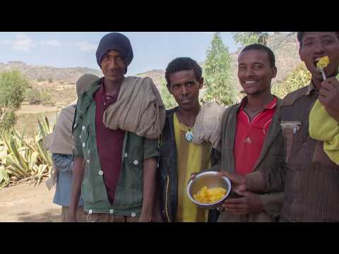 , title : 'L' apiculture en Ethiopie'