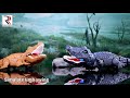 https://youtu.be/9HWqpPvaVZk