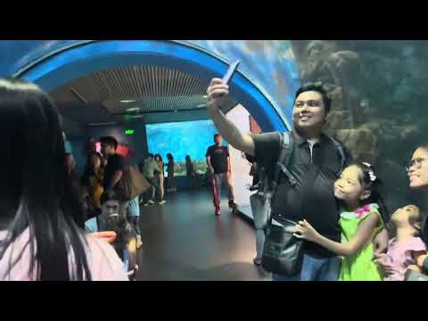 AMAZING SEA CREATURES AT OCEAN PARK MANILA #mentionyou #viralvideo